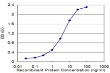 TPI1 Antibody in ELISA (ELISA)