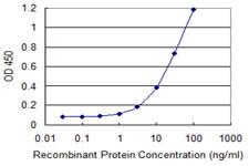 UBE2N Antibody in ELISA (ELISA)