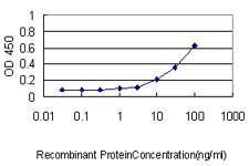 UCHL1 Antibody in ELISA (ELISA)