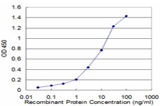 UCHL1 Antibody in ELISA (ELISA)