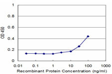 UCP1 Antibody in ELISA (ELISA)