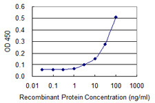 VCP Antibody in ELISA (ELISA)