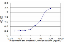 VDAC1 Antibody in ELISA (ELISA)