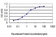 TRPV1 Antibody in ELISA (ELISA)