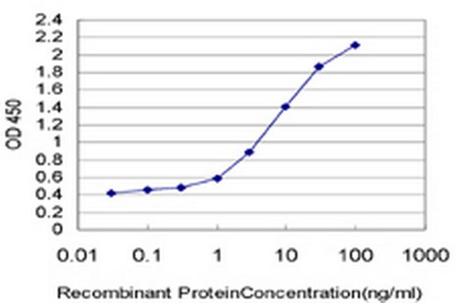 XPC Antibody in ELISA (ELISA)