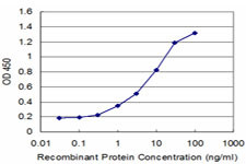 XRCC2 Antibody in ELISA (ELISA)