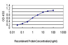 YY1 Antibody in ELISA (ELISA)