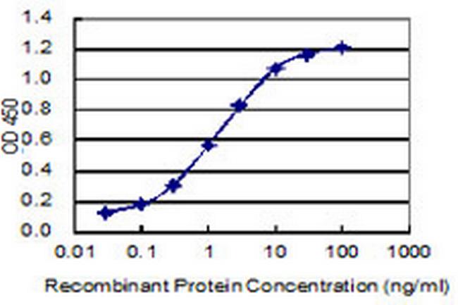 ZNF12 Antibody in ELISA (ELISA)