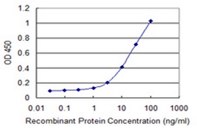 RNF113A Antibody in ELISA (ELISA)