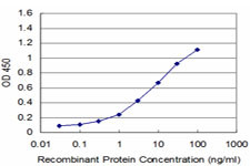 NR4A3 Antibody in ELISA (ELISA)