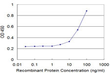 NCOA4 Antibody in ELISA (ELISA)