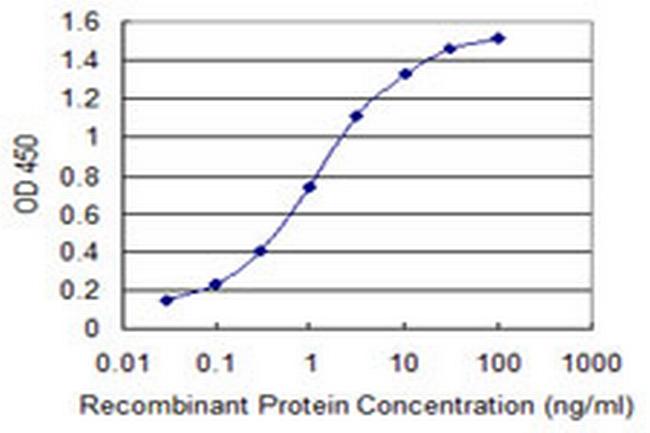 PTP4A2 Antibody in ELISA (ELISA)