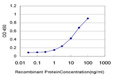 TCL1A Antibody in ELISA (ELISA)