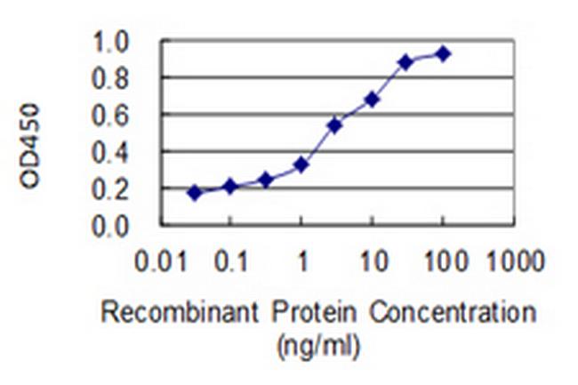 USP11 Antibody in ELISA (ELISA)