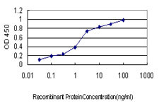 USP9X Antibody in ELISA (ELISA)