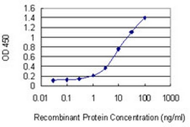 AXIN2 Antibody in ELISA (ELISA)