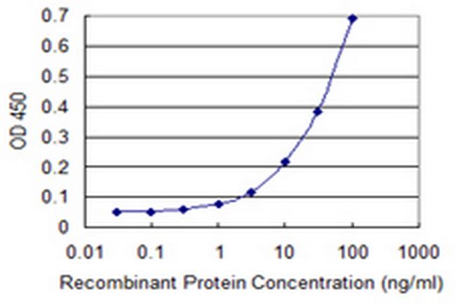 DOC2A Antibody in ELISA (ELISA)