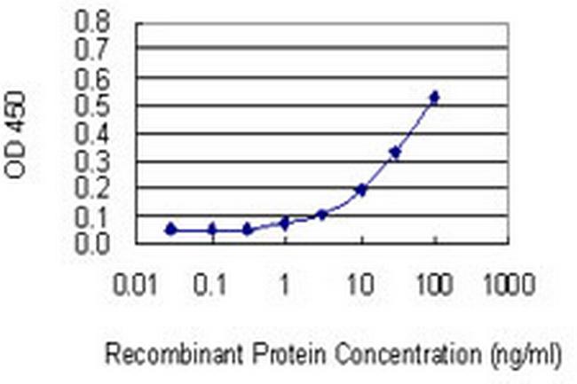 CUL3 Antibody in ELISA (ELISA)