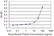 PRKRA Antibody in ELISA (ELISA)