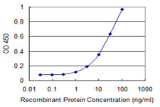 AOC3 Antibody in ELISA (ELISA)