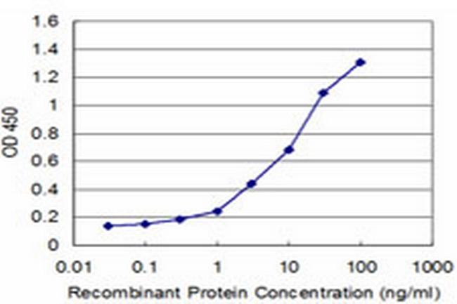 TNKS Antibody in ELISA (ELISA)