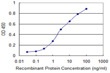 TNFSF13 Antibody in ELISA (ELISA)