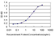 RIPK2 Antibody in ELISA (ELISA)