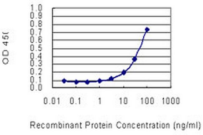 SOCS2 Antibody in ELISA (ELISA)