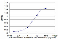 CFLAR Antibody in ELISA (ELISA)