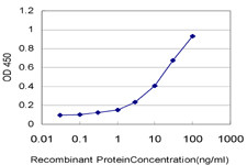 LDB1 Antibody in ELISA (ELISA)