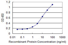 NAE1 Antibody in ELISA (ELISA)