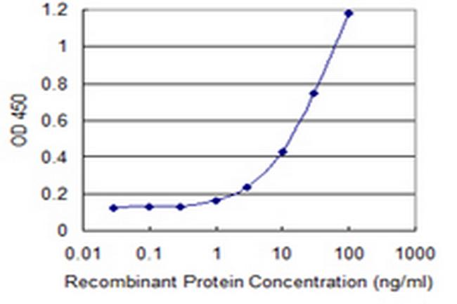 CLDN12 Antibody in ELISA (ELISA)