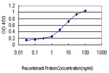 CLDN1 Antibody in ELISA (ELISA)