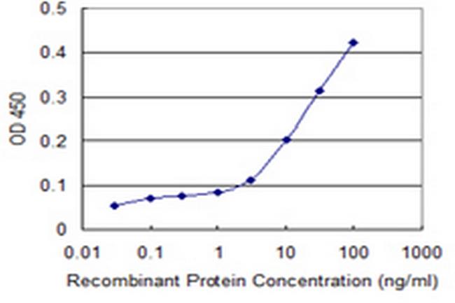 ATG12 Antibody in ELISA (ELISA)