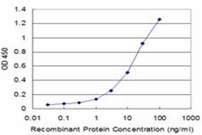 EXO1 Antibody in ELISA (ELISA)