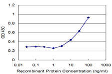 VAPB Antibody in ELISA (ELISA)