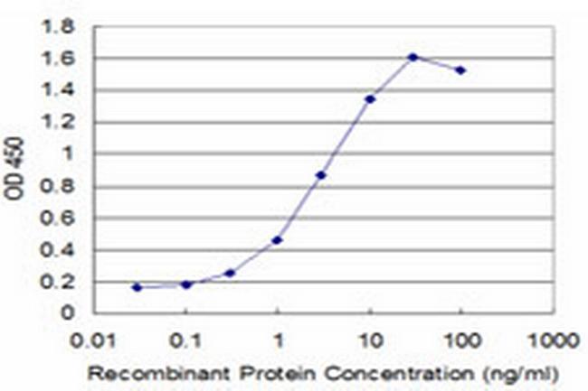 PTTG1 Antibody in ELISA (ELISA)