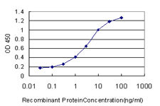 CYTH2 Antibody in ELISA (ELISA)