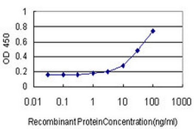 TRIP13 Antibody in ELISA (ELISA)