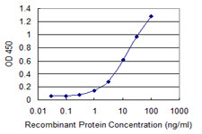 SNAP29 Antibody in ELISA (ELISA)