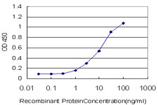 TAOK2 Antibody in ELISA (ELISA)