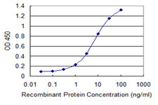 COX5A Antibody in ELISA (ELISA)