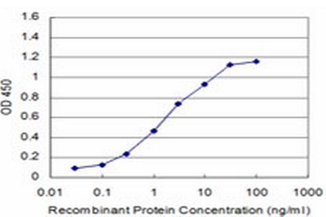 MAP4K4 Antibody in ELISA (ELISA)