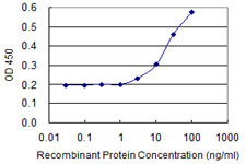 HOMER1 Antibody in ELISA (ELISA)