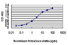 AATK Antibody in ELISA (ELISA)