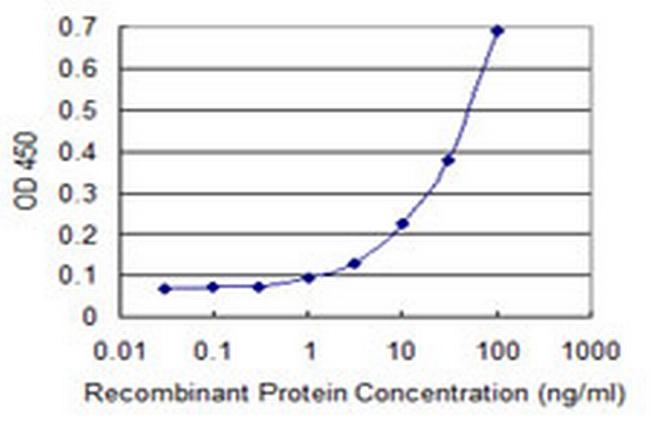 IKBKE Antibody in ELISA (ELISA)