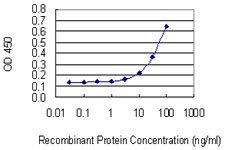 PHACTR2 Antibody in ELISA (ELISA)