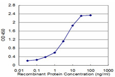 TOMM20 Antibody in ELISA (ELISA)