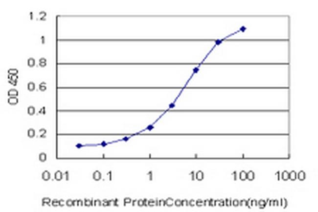 HEPH Antibody in ELISA (ELISA)