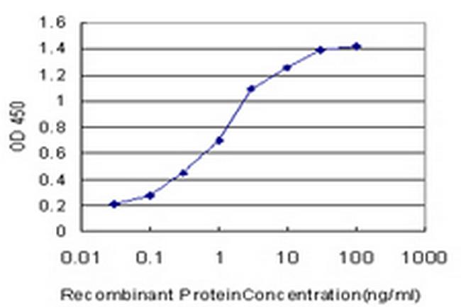 MAGI2 Antibody in ELISA (ELISA)